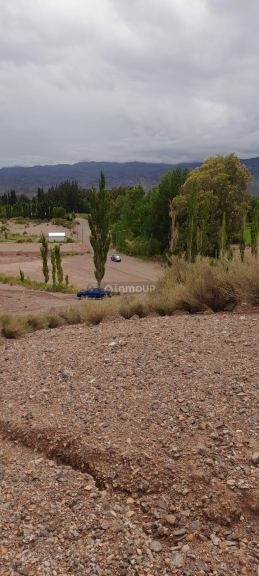 Campo en Venta en Calingasta, San Juan
