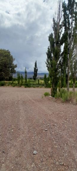 Campo en Venta en Calingasta, San Juan