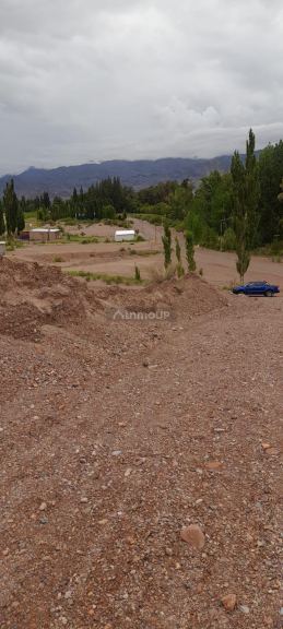 Campo en Venta en Calingasta, San Juan