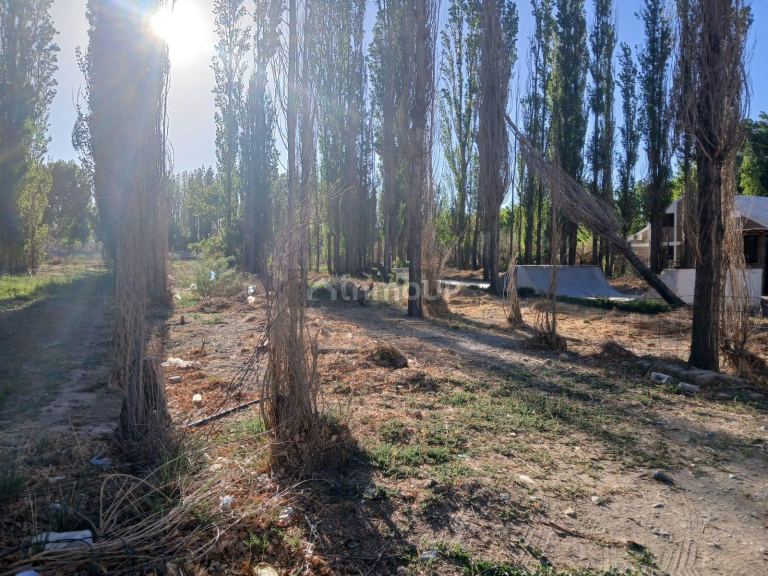 Cabaña en Venta en Iglesia, San Juan