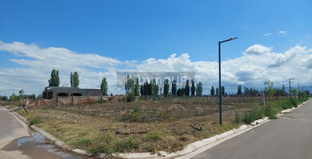 Lote en Venta en Lujan de Cuyo, Mendoza