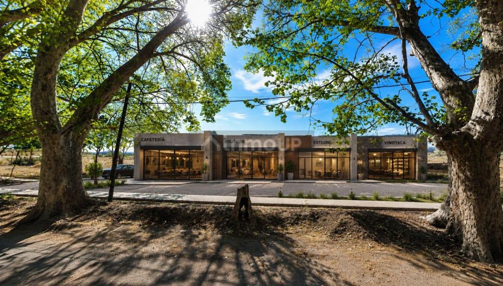 Lote en Venta en Lujan de Cuyo, Mendoza - USD 55.000 | Inmoup - 6