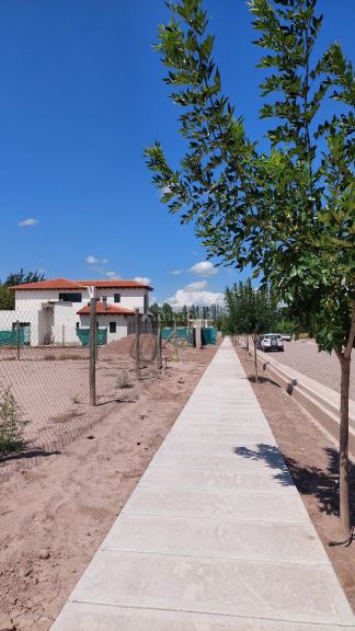 Lote en Venta en Lujan de Cuyo, Mendoza