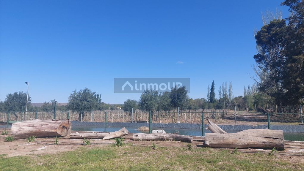 Lote en Venta en Lujan de Cuyo, Mendoza