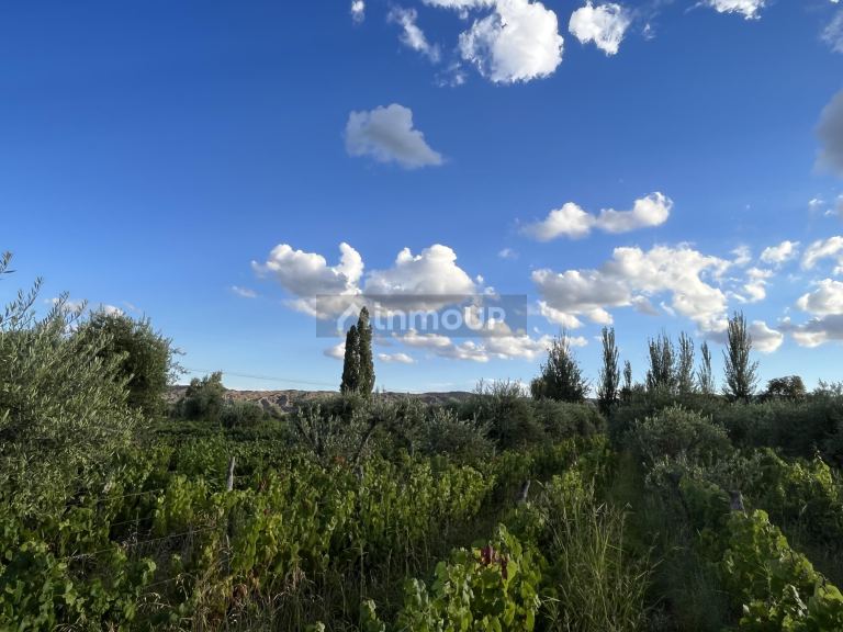 Finca en Venta en Maipu, Mendoza