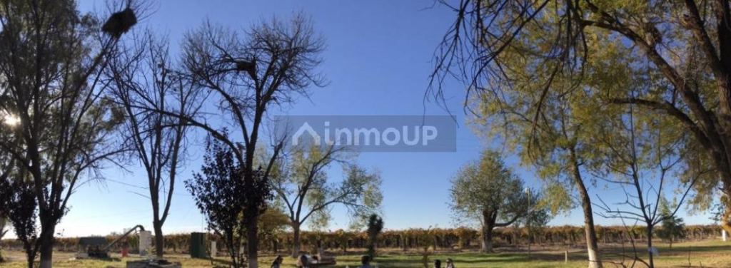 Finca en Venta en Santa Rosa, Mendoza
