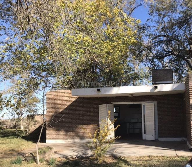 Finca en Venta en Santa Rosa, Mendoza