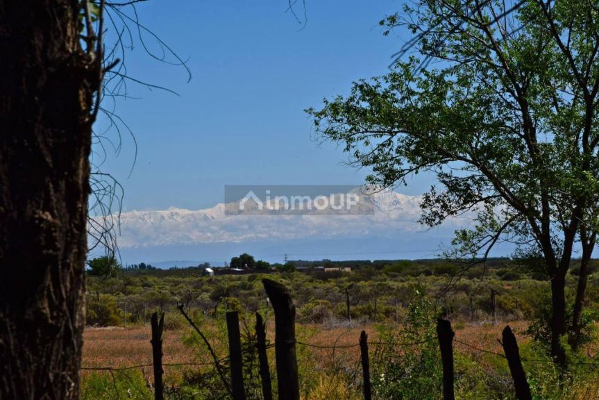Finca en Venta en Santa Rosa, Mendoza