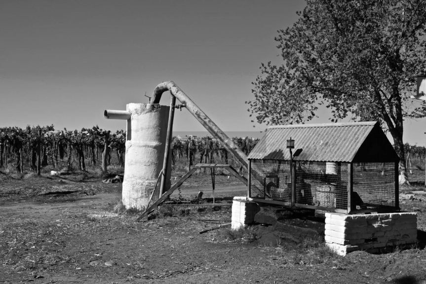 Finca en Venta en Santa Rosa, Mendoza