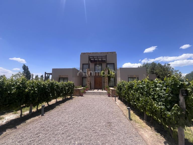 Bodega con Viñedo en Venta en Lujan de Cuyo, Mendoza