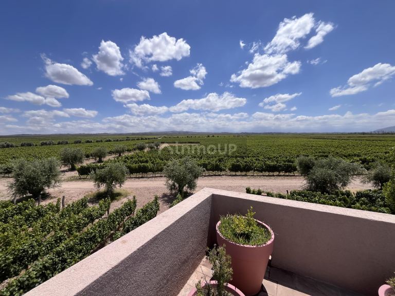 Bodega con Viñedo en Venta en Lujan de Cuyo, Mendoza