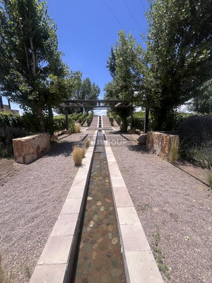 Bodega con Viñedo en Venta en Lujan de Cuyo, Mendoza