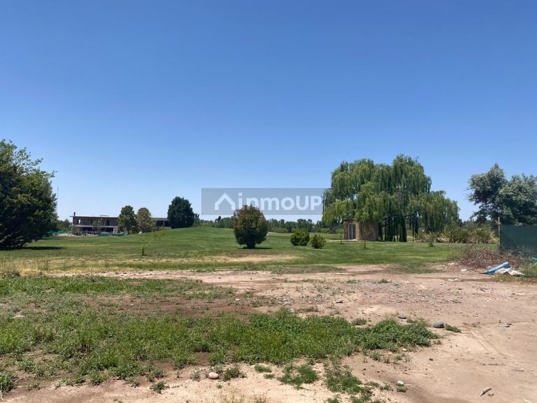 Lote en Venta en Lujan de Cuyo, Mendoza