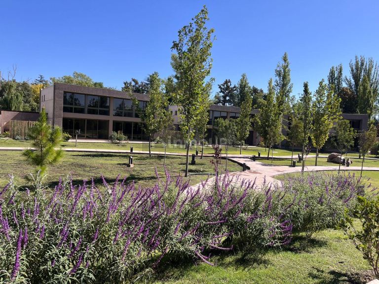 Departamento en Alquiler en Lujan de Cuyo, Mendoza