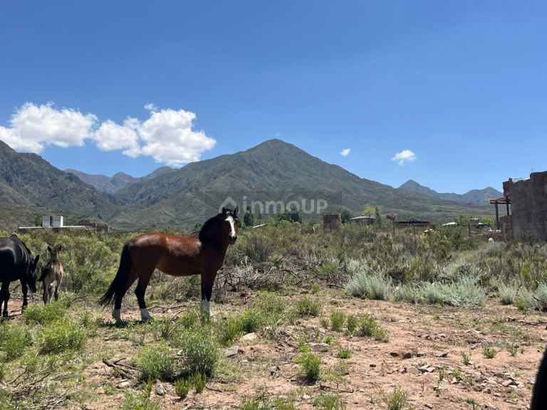 Lote en Venta en Lujan de Cuyo, Mendoza
