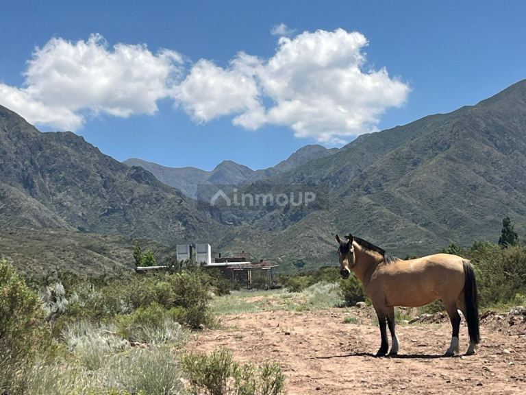 Lote en Venta en Lujan de Cuyo, Mendoza