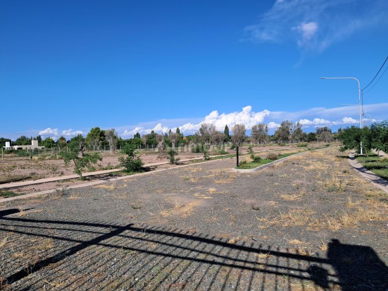 Lote en Venta en Lujan de Cuyo, Mendoza