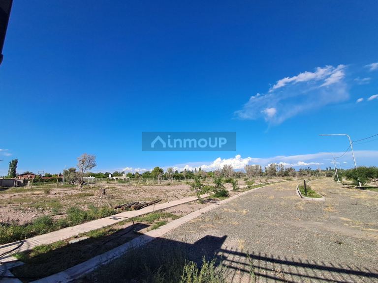 Lote en Venta en Lujan de Cuyo, Mendoza