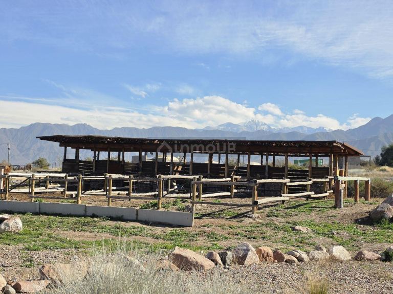Terreno en Venta en Lujan de Cuyo, Mendoza