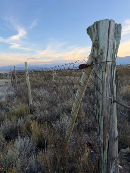 Terreno en Venta en Lujan de Cuyo, Mendoza