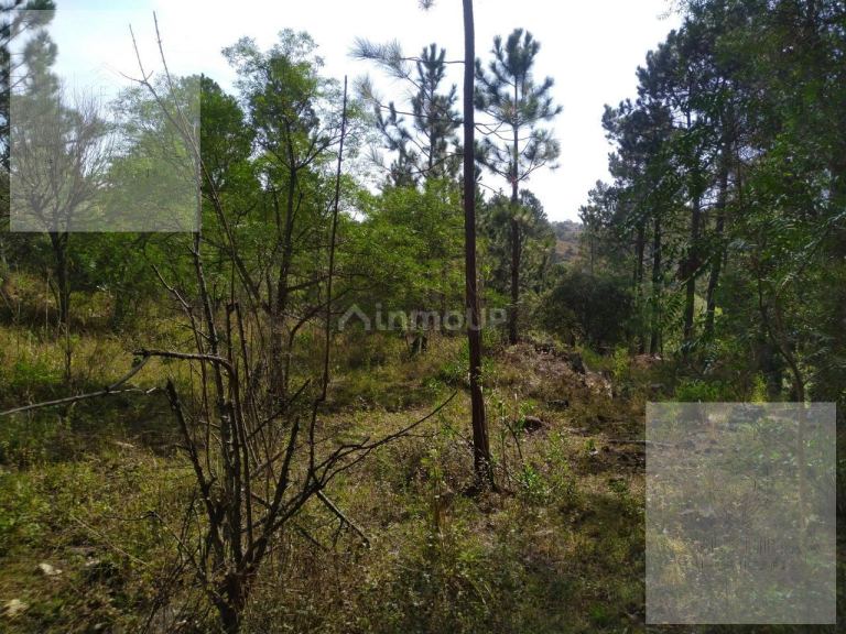 Terreno en Venta en Calamuchita, Cordoba