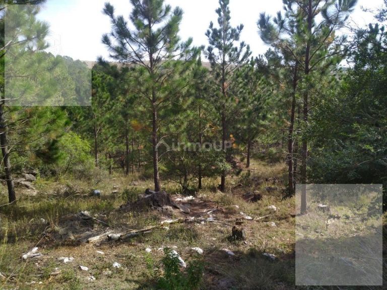 Terreno en Venta en Calamuchita, Cordoba