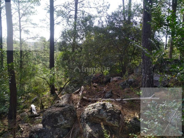 Terreno en Venta en Calamuchita, Cordoba