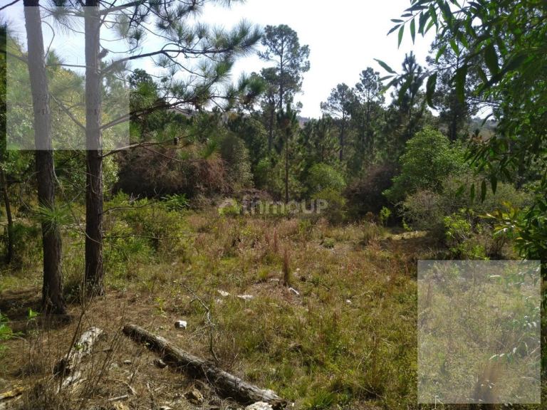 Terreno en Venta en Calamuchita, Cordoba