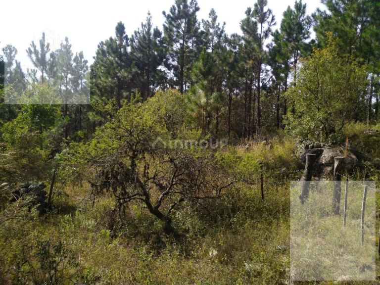 Terreno en Venta en Calamuchita, Cordoba