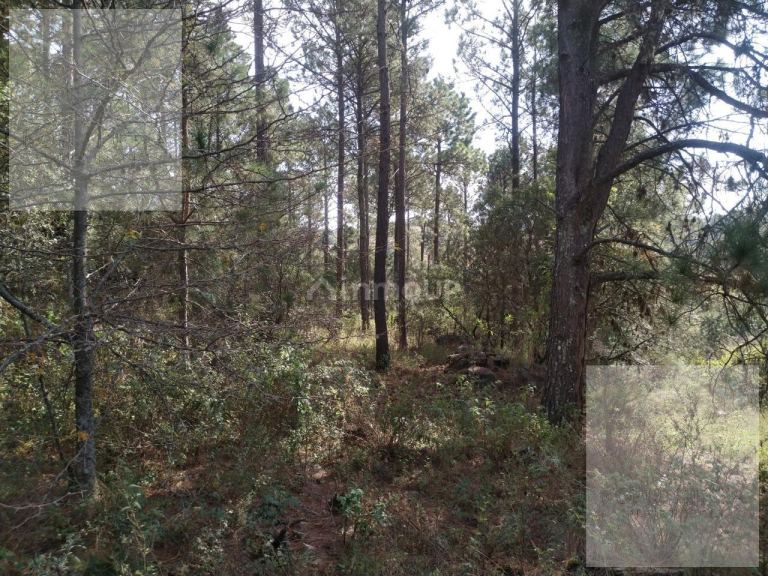 Terreno en Venta en Calamuchita, Cordoba