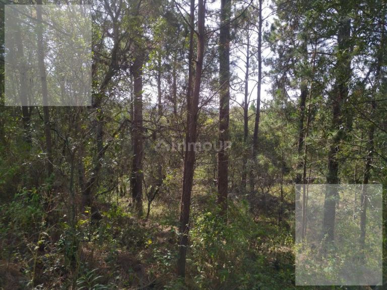 Terreno en Venta en Calamuchita, Cordoba