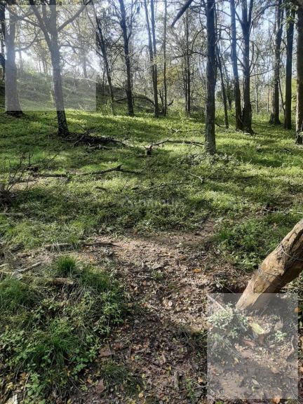 Terreno en Venta en Calamuchita, Cordoba