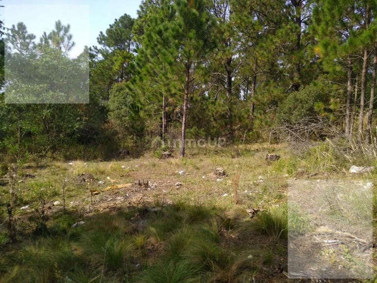 Terreno en Venta en Calamuchita, Cordoba