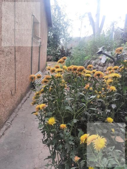 Casa en Venta en Calamuchita, Cordoba