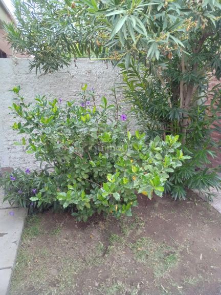 Casa en Venta en San Martin, Mendoza
