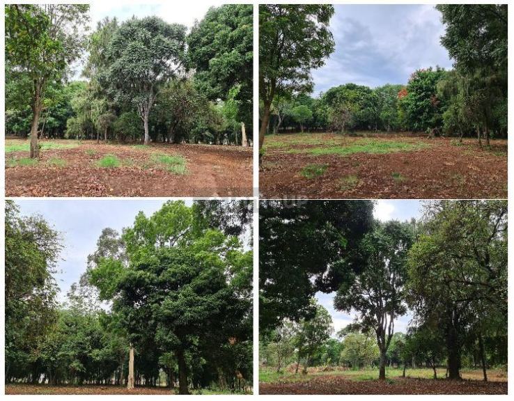 Terreno en Venta en Posadas, Misiones
