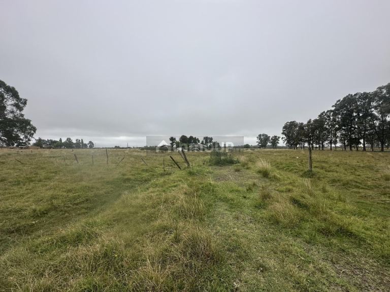 Terreno en Venta en San Vicente, G.B.A. Zona Sur