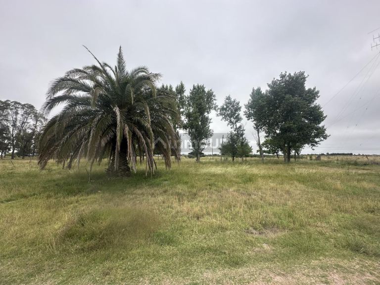 Terreno en Venta en San Vicente, G.B.A. Zona Sur
