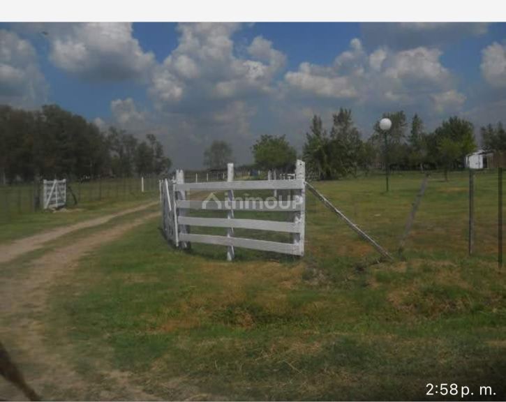 Terreno en Venta en San Vicente, G.B.A. Zona Sur