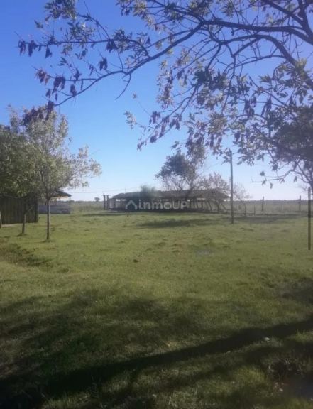 Terreno en Venta en San Vicente, G.B.A. Zona Sur
