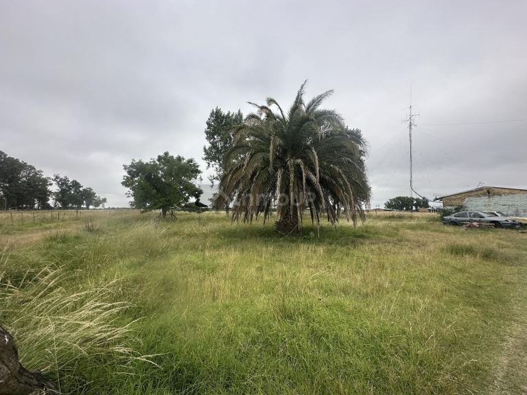 Terreno en Venta en San Vicente, G.B.A. Zona Sur