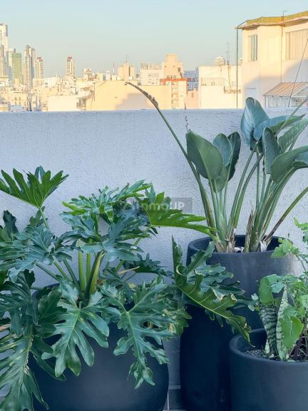 Departamento en Venta en Monserrat, Capital Federal