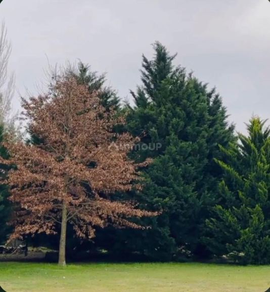 Terreno en Venta en San Miguel del Monte, Buenos Aires Interior