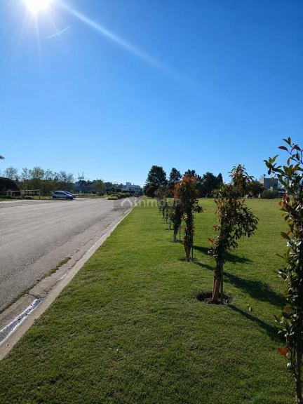 Terreno en Venta en San Vicente, G.B.A. Zona Sur