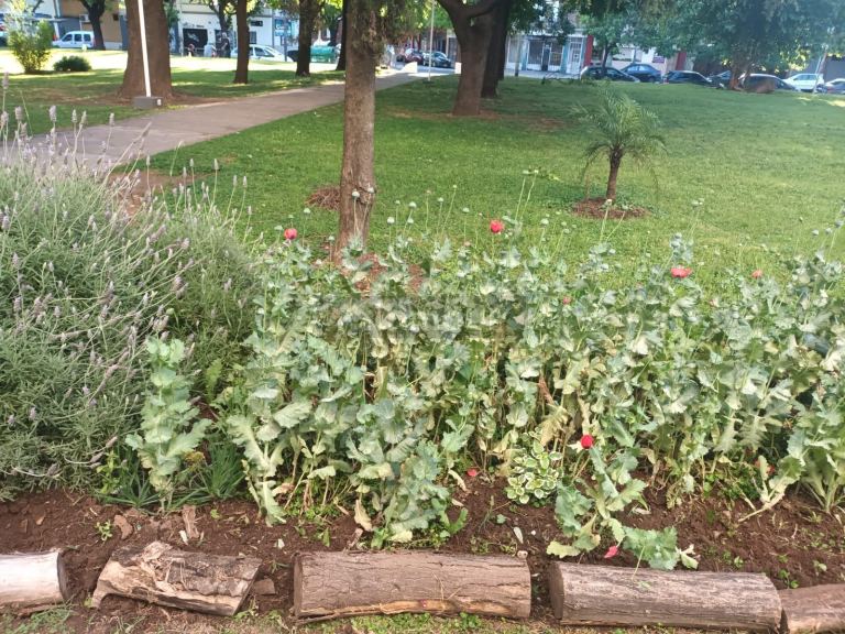 Departamento en Venta en Parque Avellaneda, Capital Federal