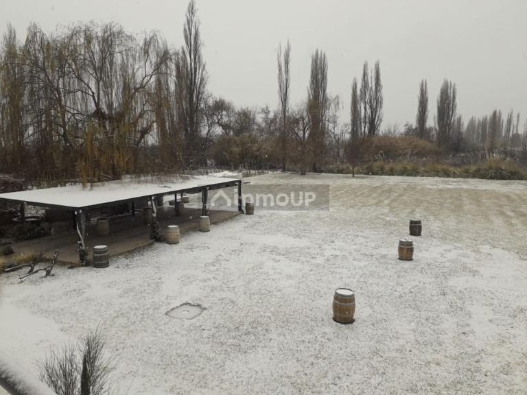 Bodega con Viñedo en Venta en Lujan de Cuyo, Mendoza