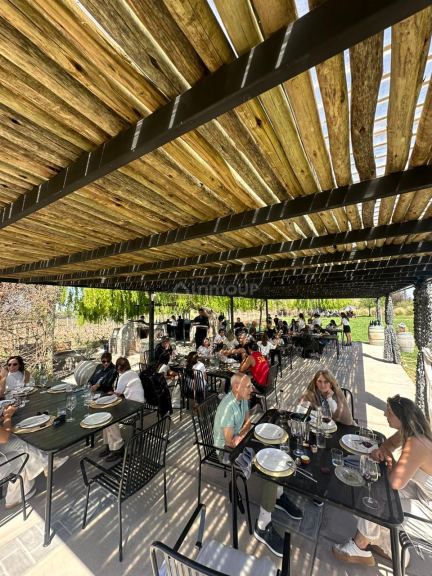 Bodega con Viñedo en Venta en Lujan de Cuyo, Mendoza