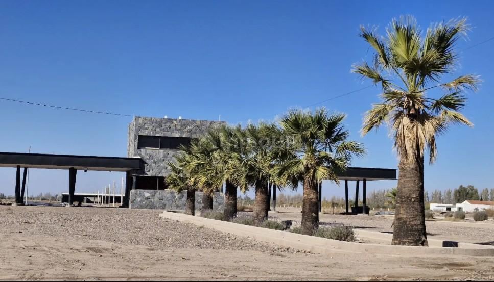 Lote en Venta en Lujan de Cuyo, Mendoza