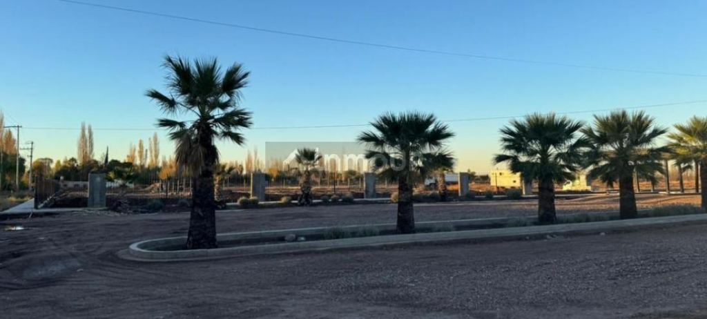 Lote en Venta en Lujan de Cuyo, Mendoza