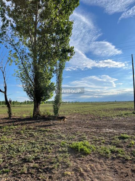 Lote en Venta en Tunuyan, Mendoza